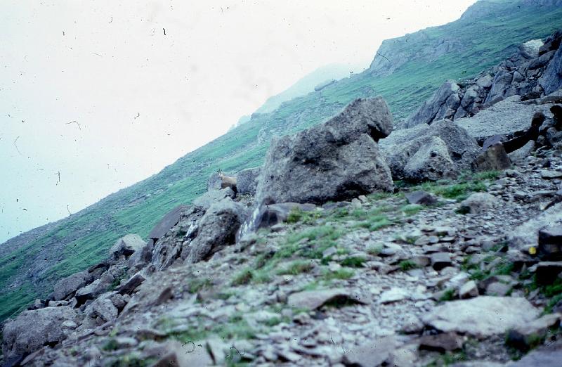 boden (120).JPG - EPSON MFP image